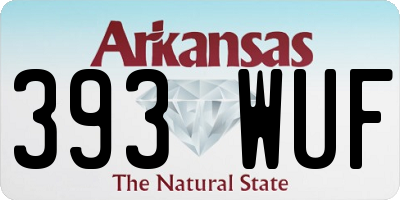 AR license plate 393WUF