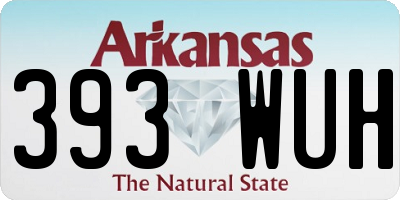 AR license plate 393WUH