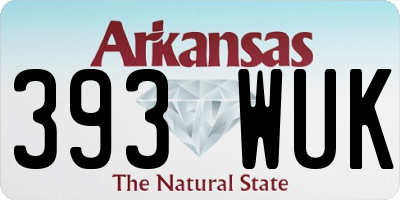 AR license plate 393WUK