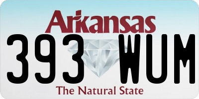 AR license plate 393WUM