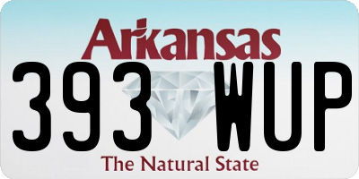 AR license plate 393WUP