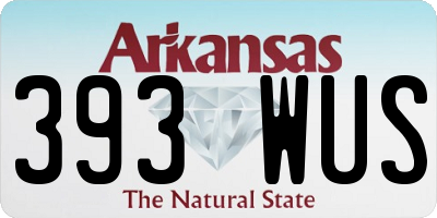 AR license plate 393WUS