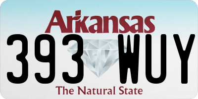 AR license plate 393WUY