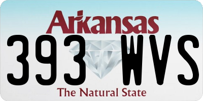 AR license plate 393WVS