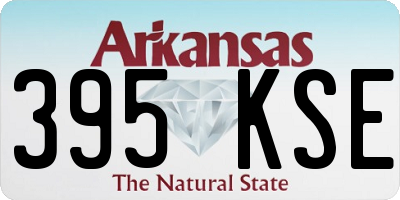 AR license plate 395KSE