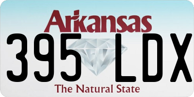 AR license plate 395LDX