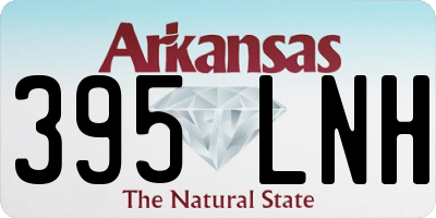AR license plate 395LNH