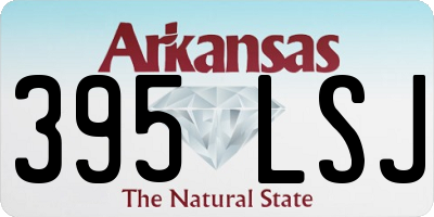 AR license plate 395LSJ