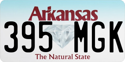 AR license plate 395MGK
