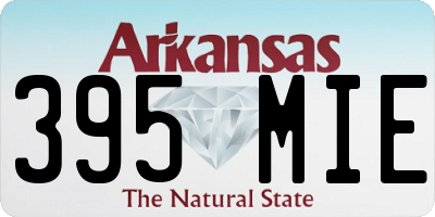 AR license plate 395MIE
