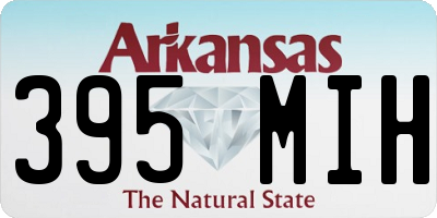 AR license plate 395MIH