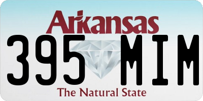 AR license plate 395MIM