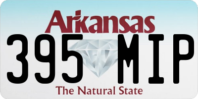 AR license plate 395MIP