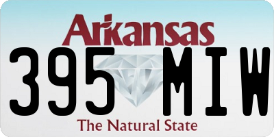 AR license plate 395MIW
