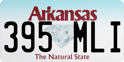 AR license plate 395MLI