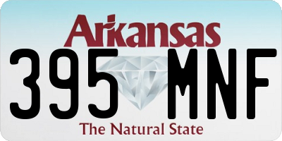 AR license plate 395MNF