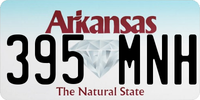 AR license plate 395MNH