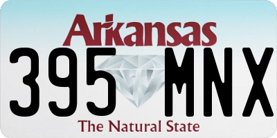 AR license plate 395MNX