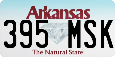 AR license plate 395MSK