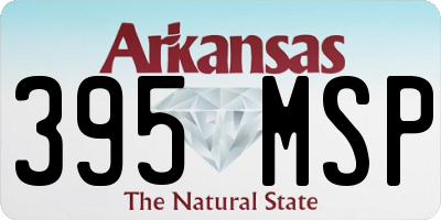 AR license plate 395MSP