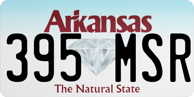 AR license plate 395MSR