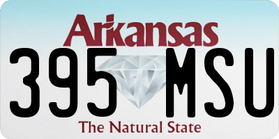 AR license plate 395MSU