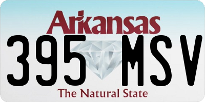 AR license plate 395MSV