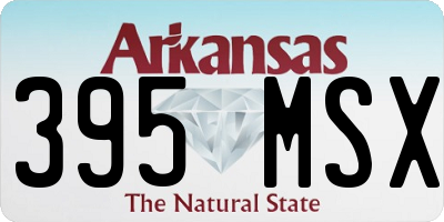 AR license plate 395MSX