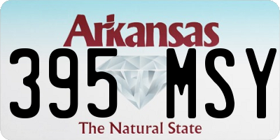 AR license plate 395MSY