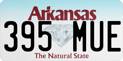 AR license plate 395MUE