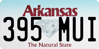AR license plate 395MUI