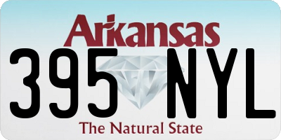 AR license plate 395NYL