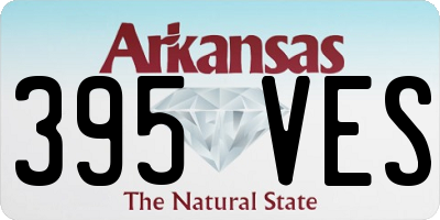 AR license plate 395VES