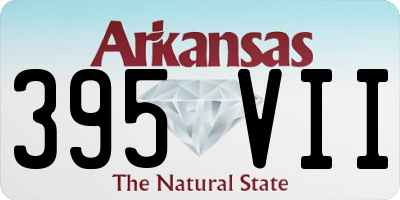 AR license plate 395VII