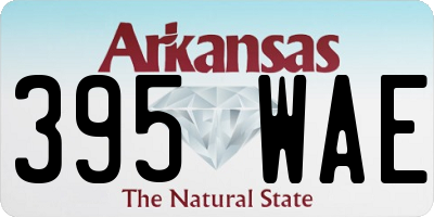 AR license plate 395WAE
