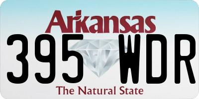 AR license plate 395WDR