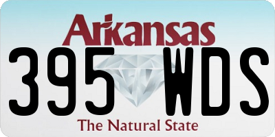 AR license plate 395WDS