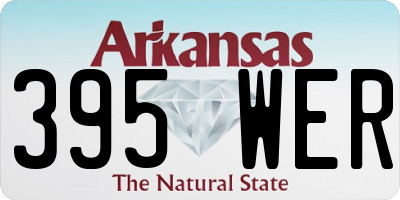 AR license plate 395WER