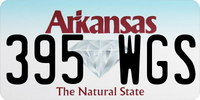 AR license plate 395WGS