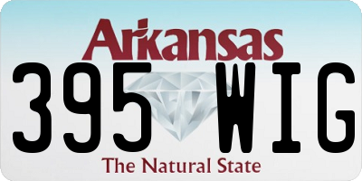 AR license plate 395WIG