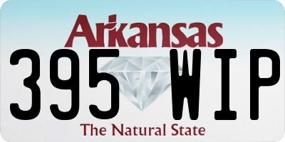 AR license plate 395WIP