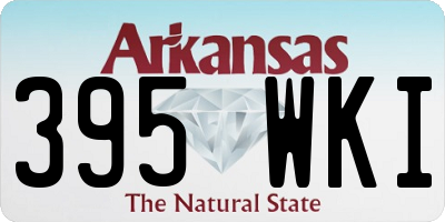 AR license plate 395WKI