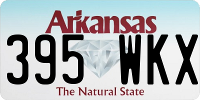 AR license plate 395WKX