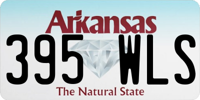 AR license plate 395WLS