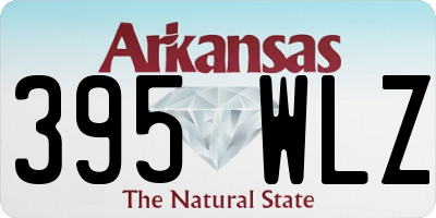 AR license plate 395WLZ
