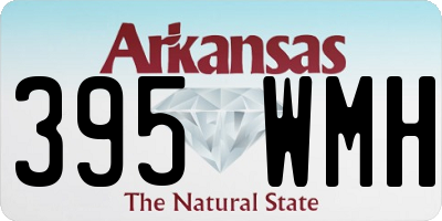 AR license plate 395WMH