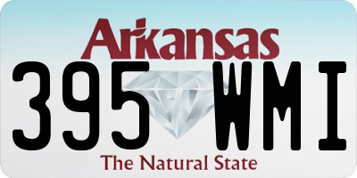 AR license plate 395WMI