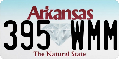 AR license plate 395WMM