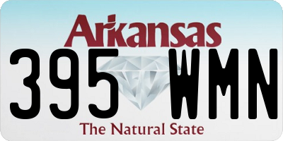 AR license plate 395WMN