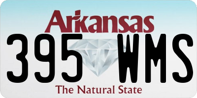 AR license plate 395WMS